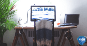 Working from home - home office setup with a plant